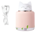 Humidificador Cabeza De Gato
