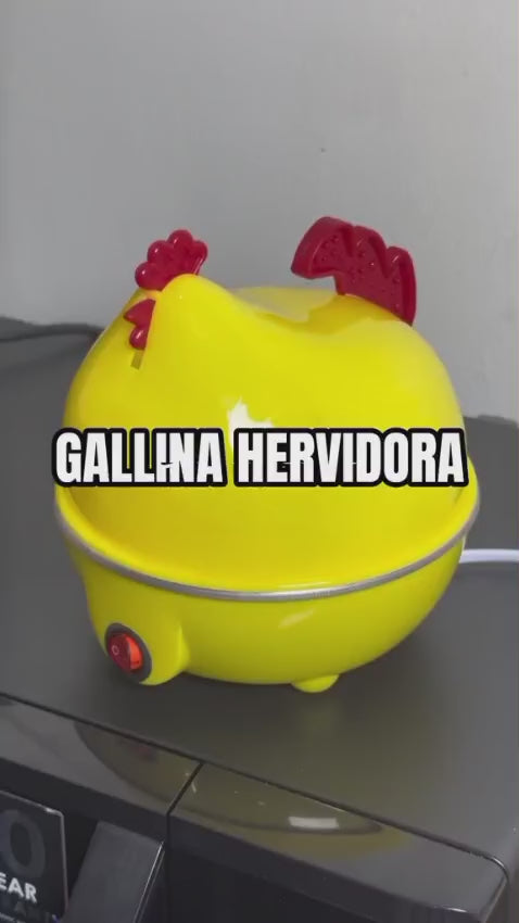 Gallina Eléctrica Hervidor De Huevos